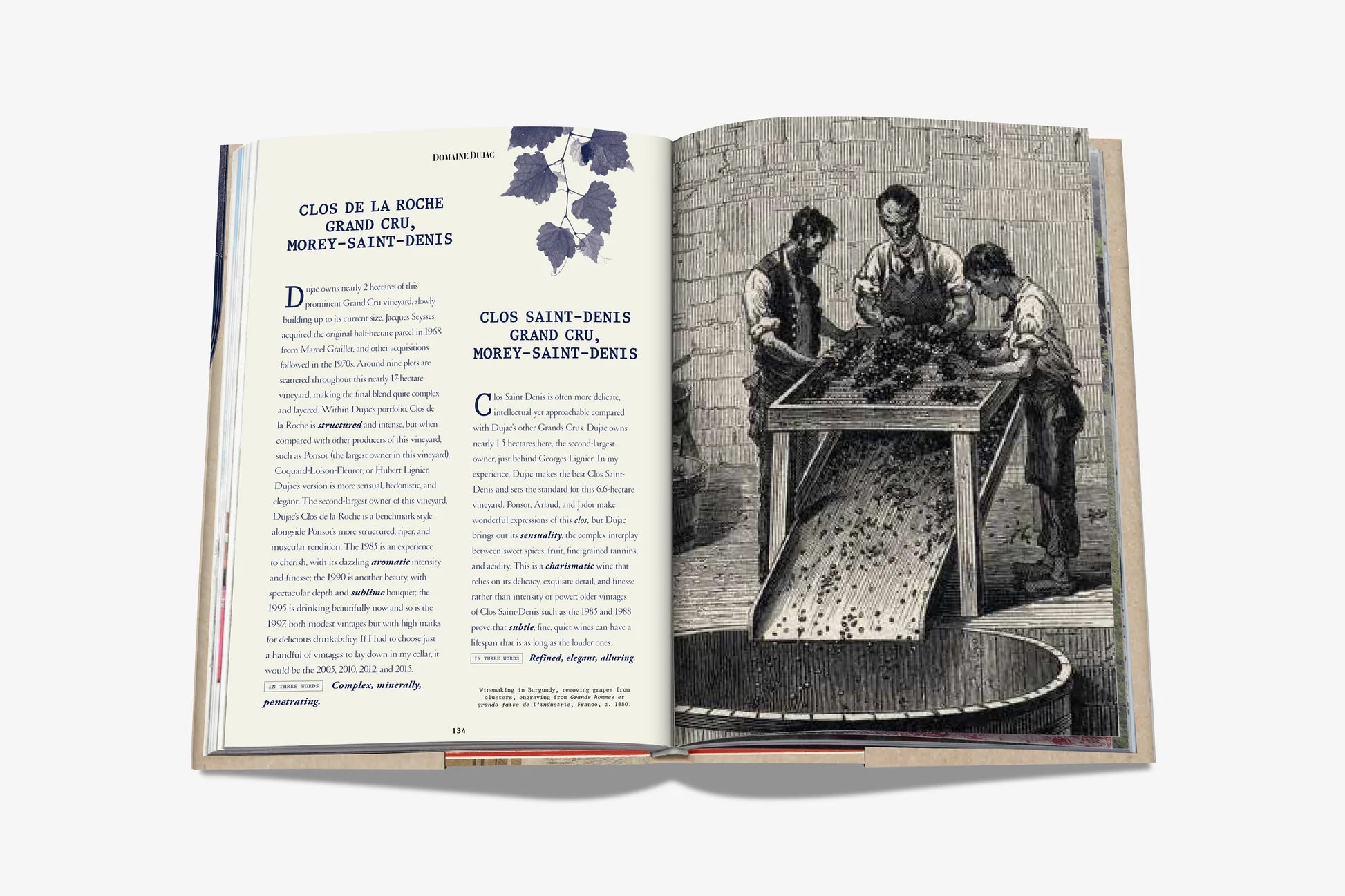 Livro The 100 Burgundy: Exceptional Wines to Build A Dream Cellar