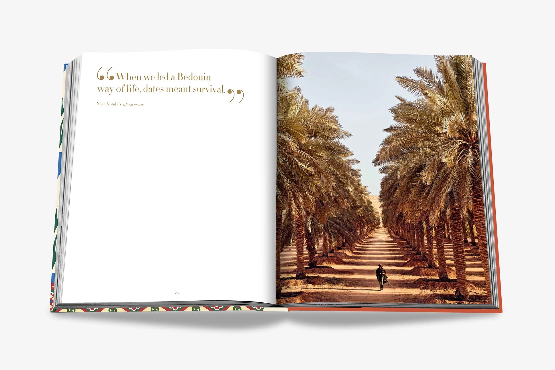 Livro Saudi Dates: A Portrait of the Sacred Fruit