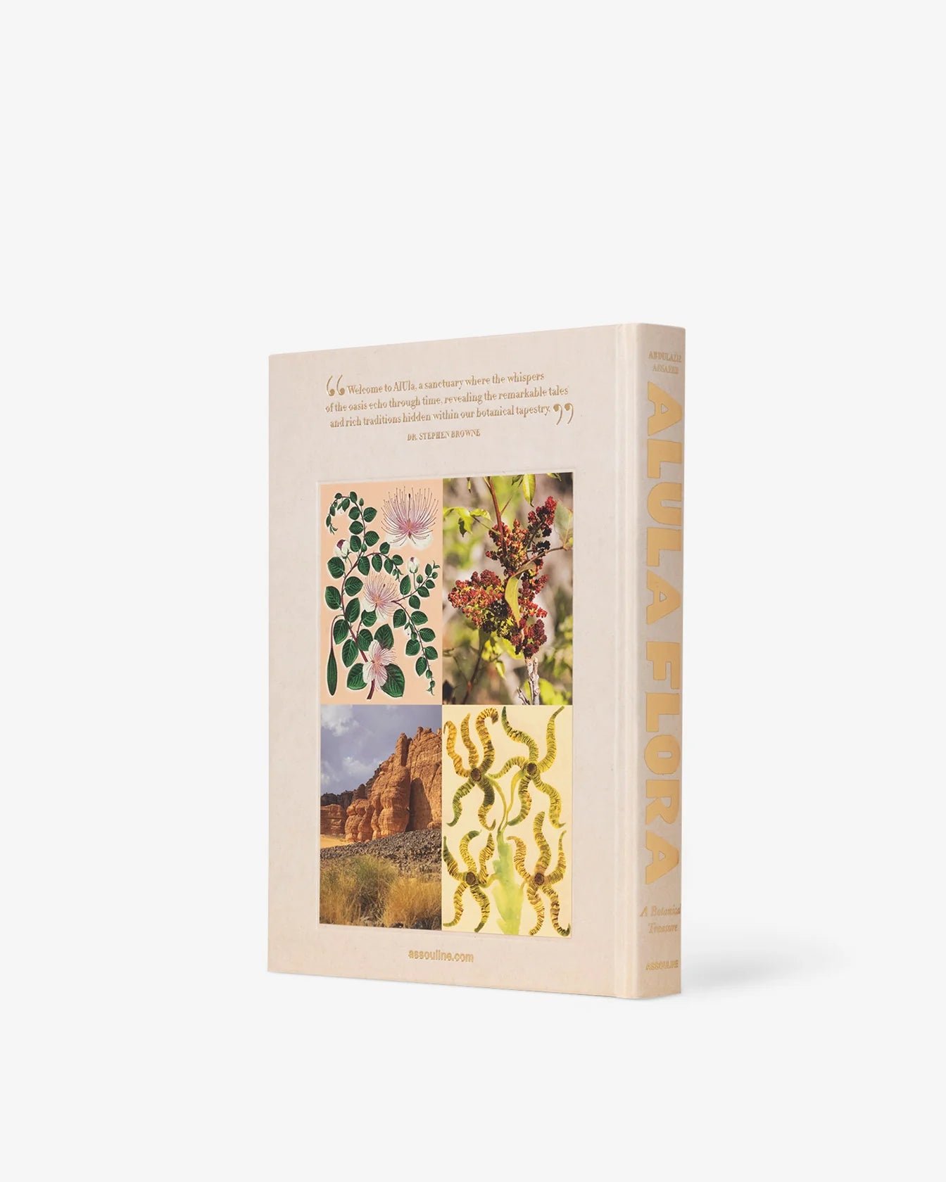 Livro Alula Flora