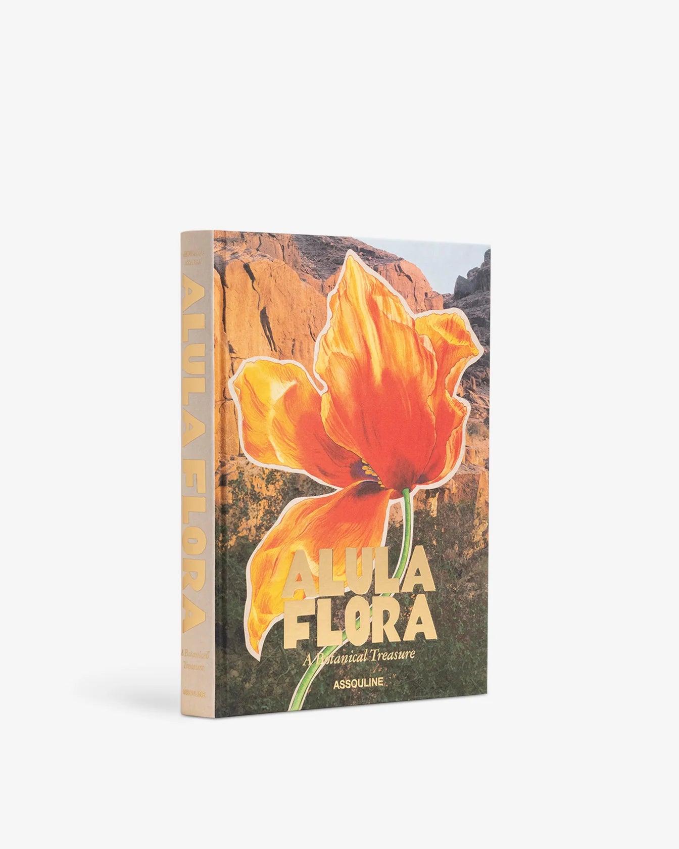 Livro Alula Flora