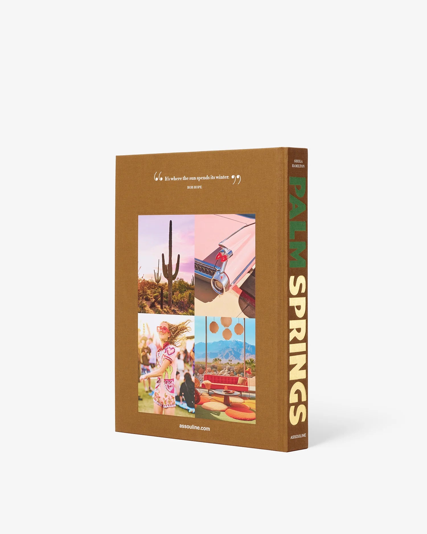 Livro Palm Springs