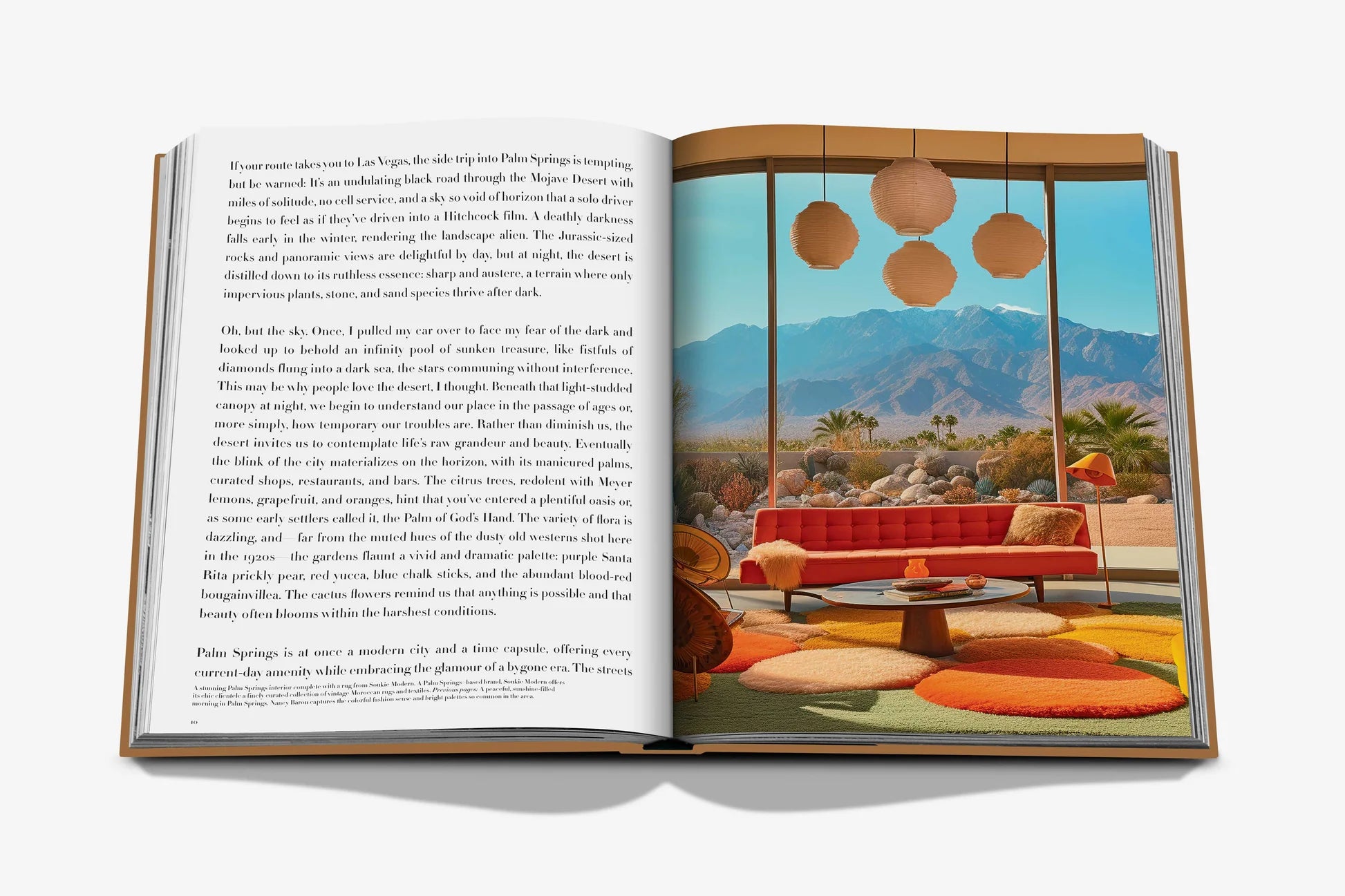 Livro Palm Springs