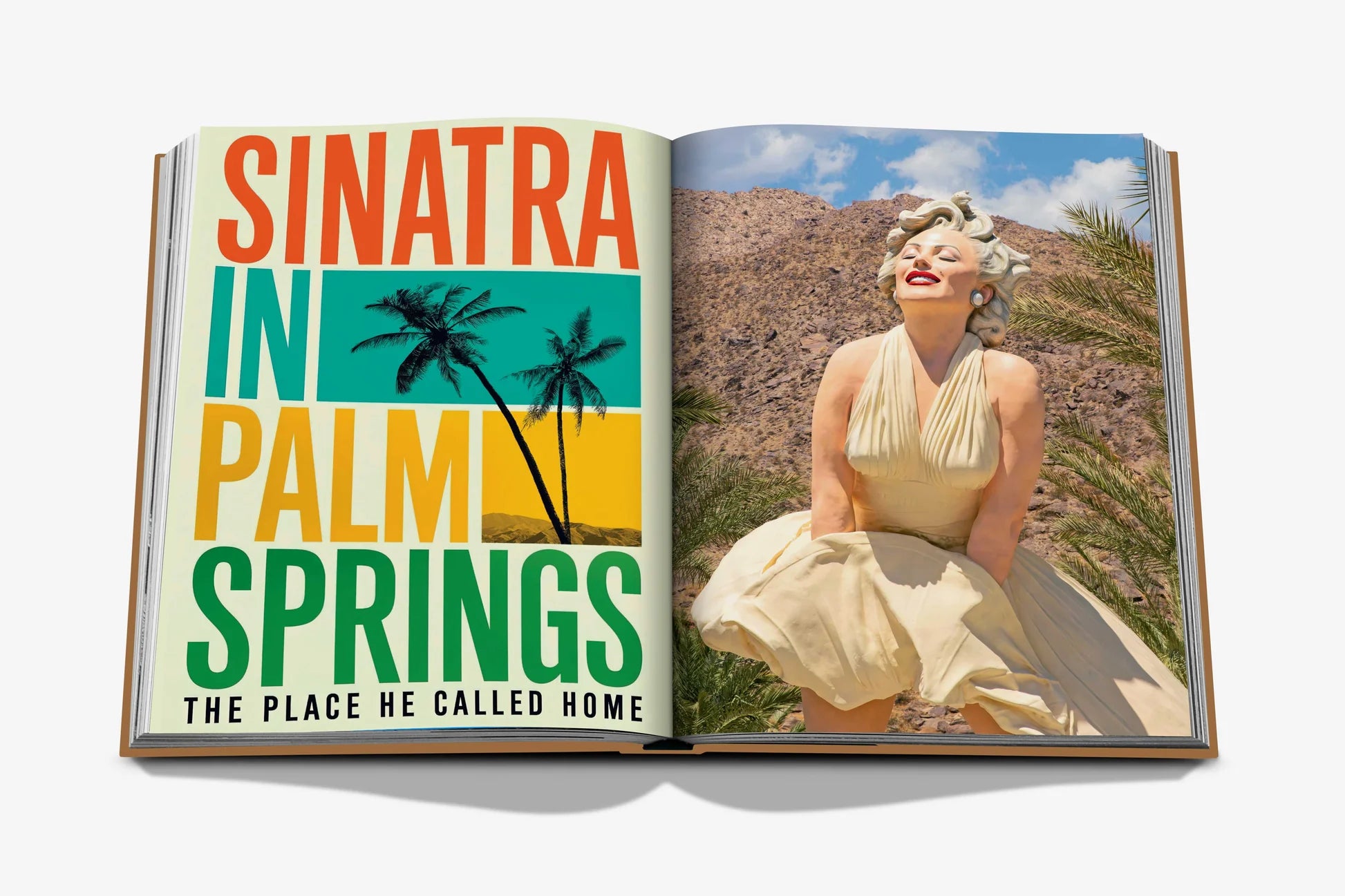 Livro Palm Springs