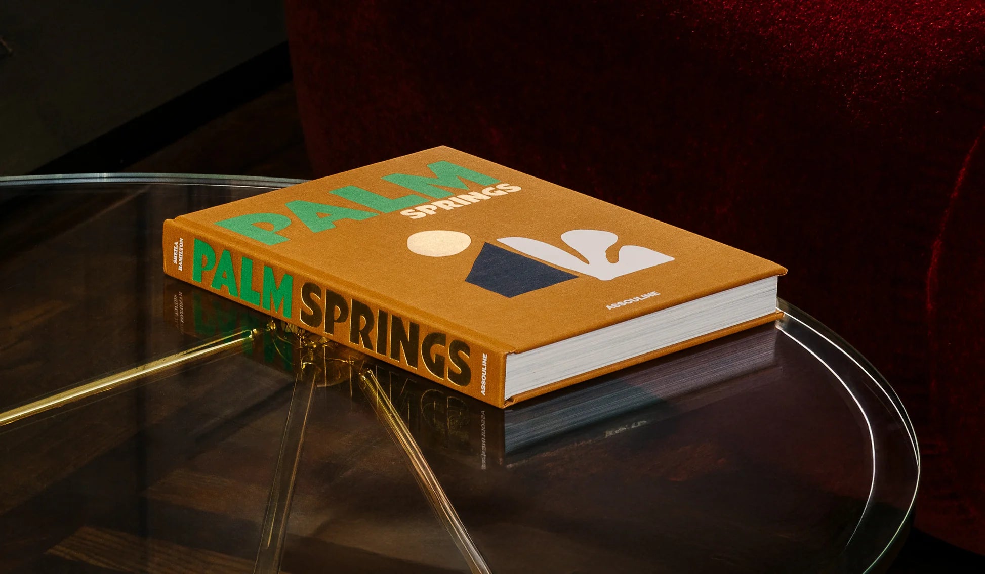 Livro Palm Springs