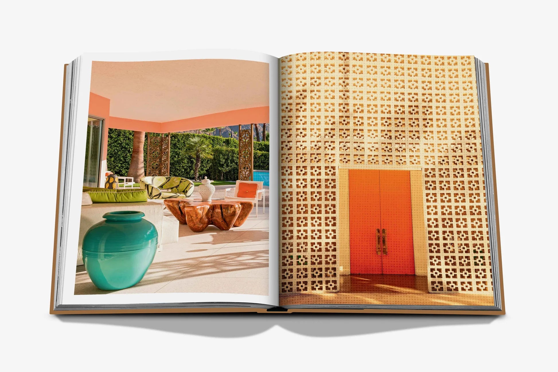 Livro Palm Springs