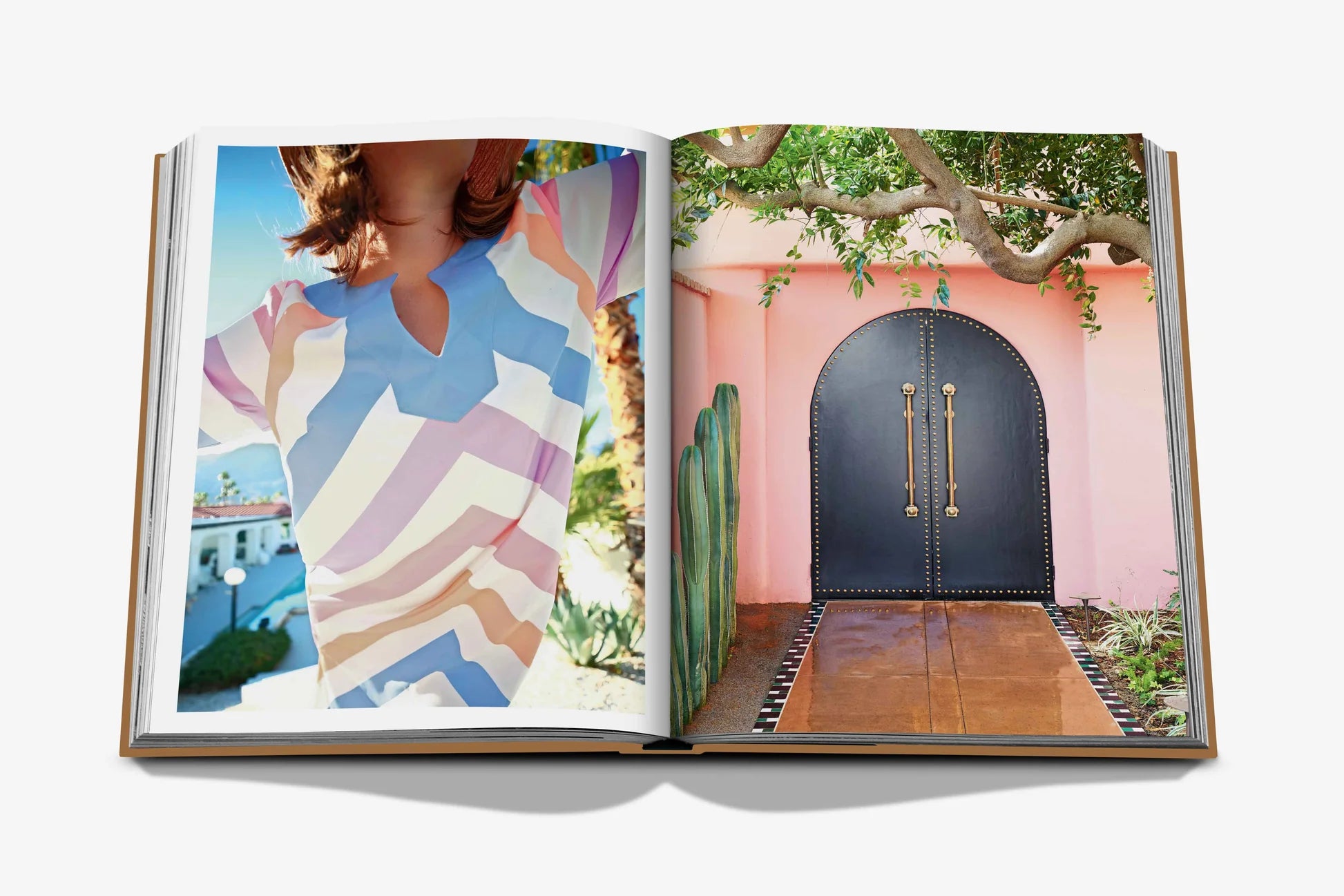 Livro Palm Springs