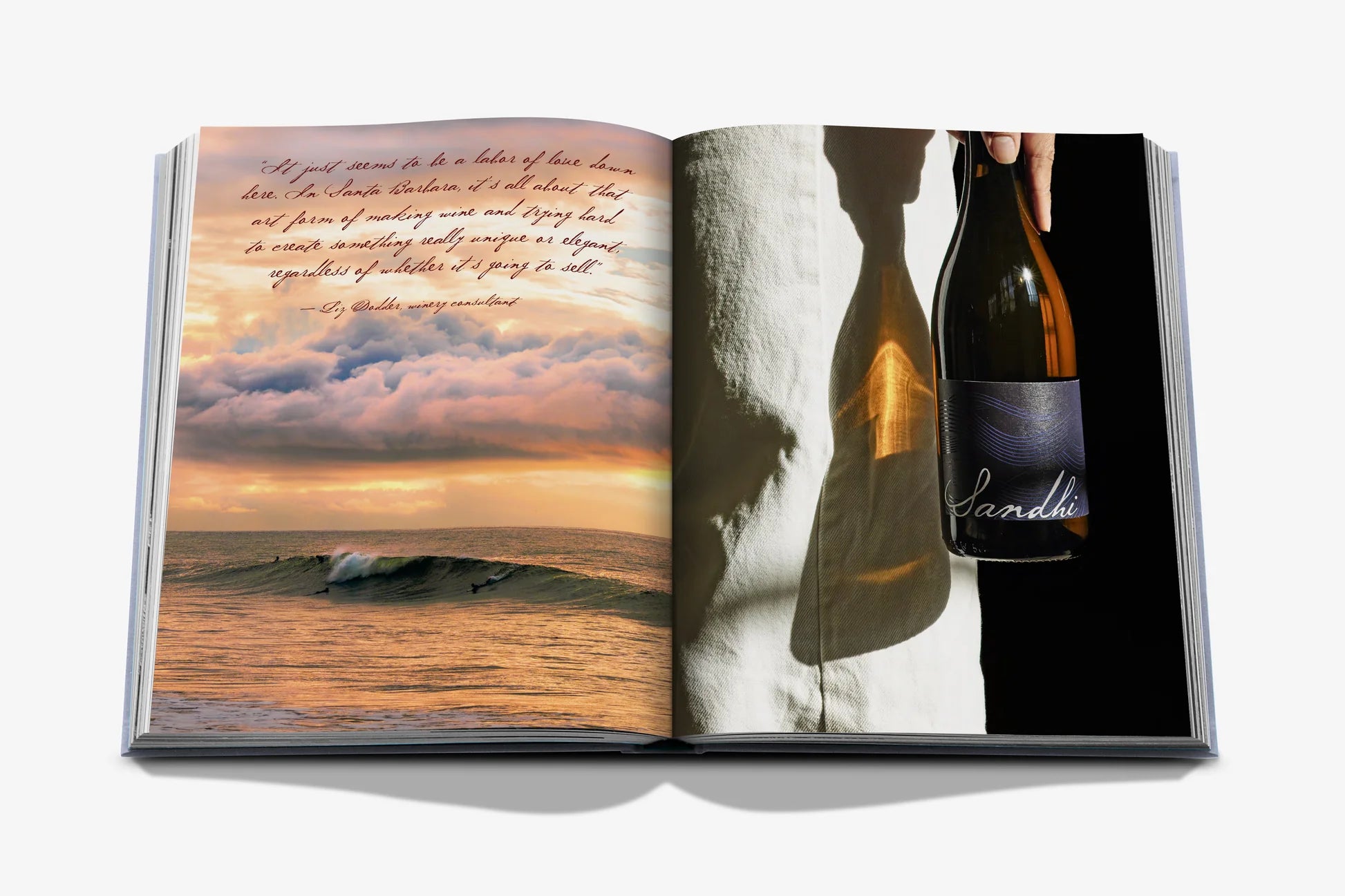 Livro Wine & Travel USA