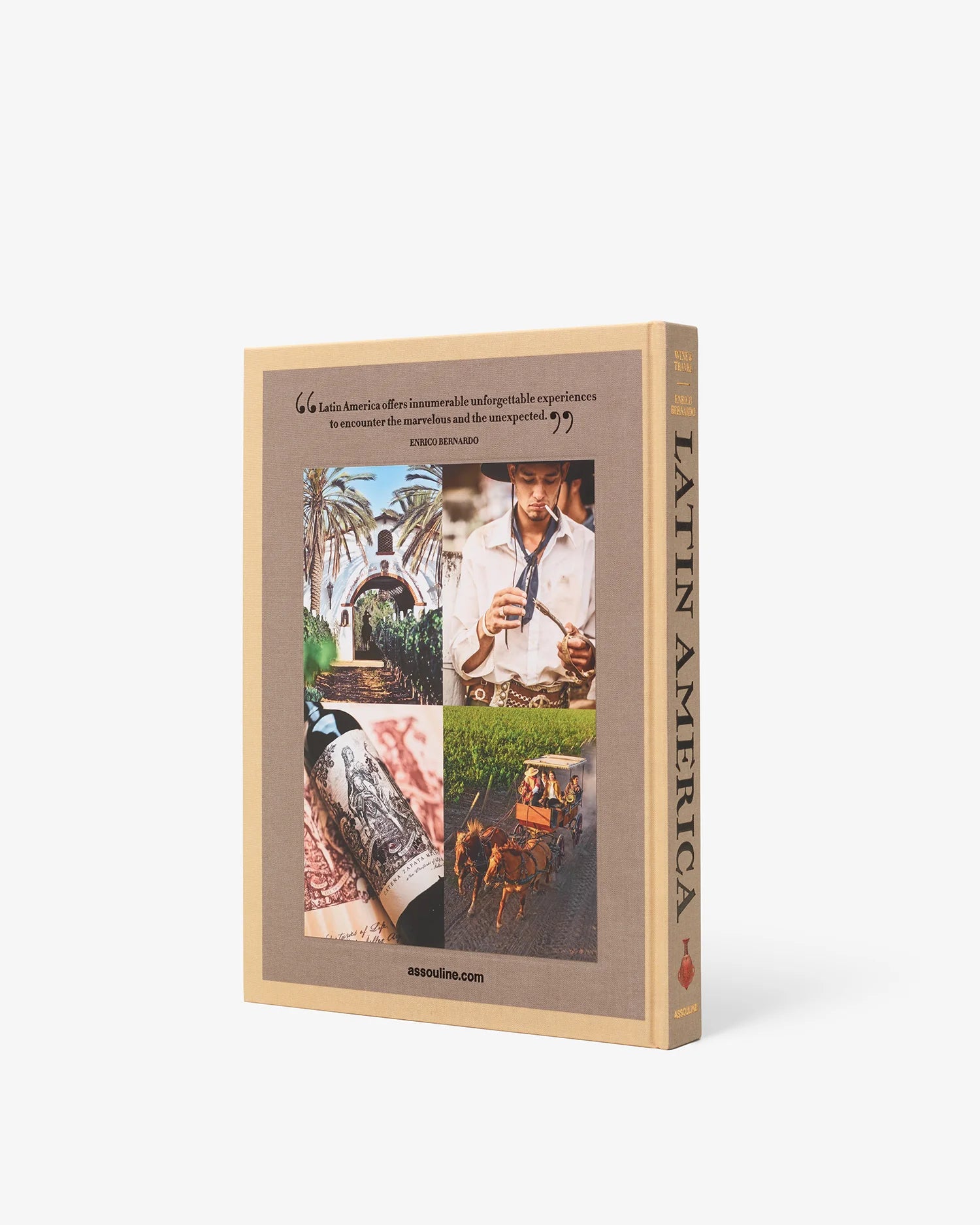 Livro Wine & Travel Latin America