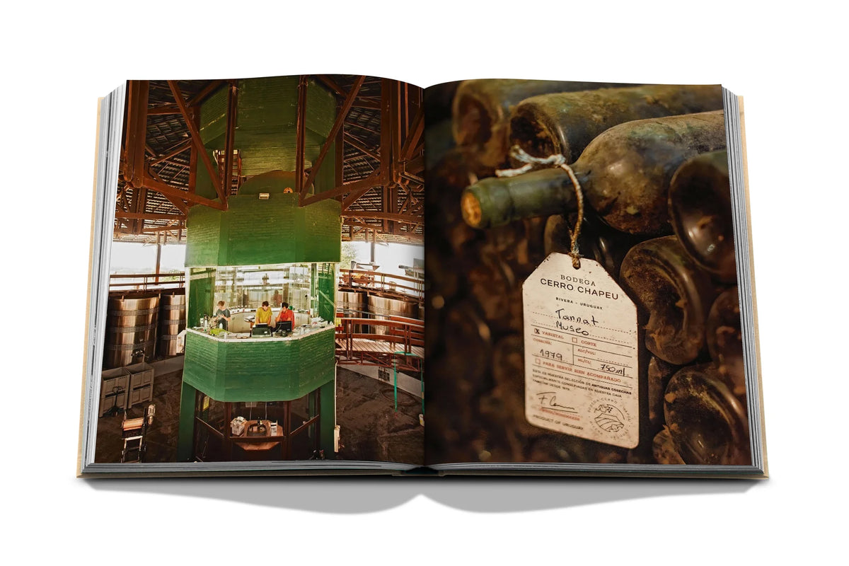 Livro Wine & Travel Latin America