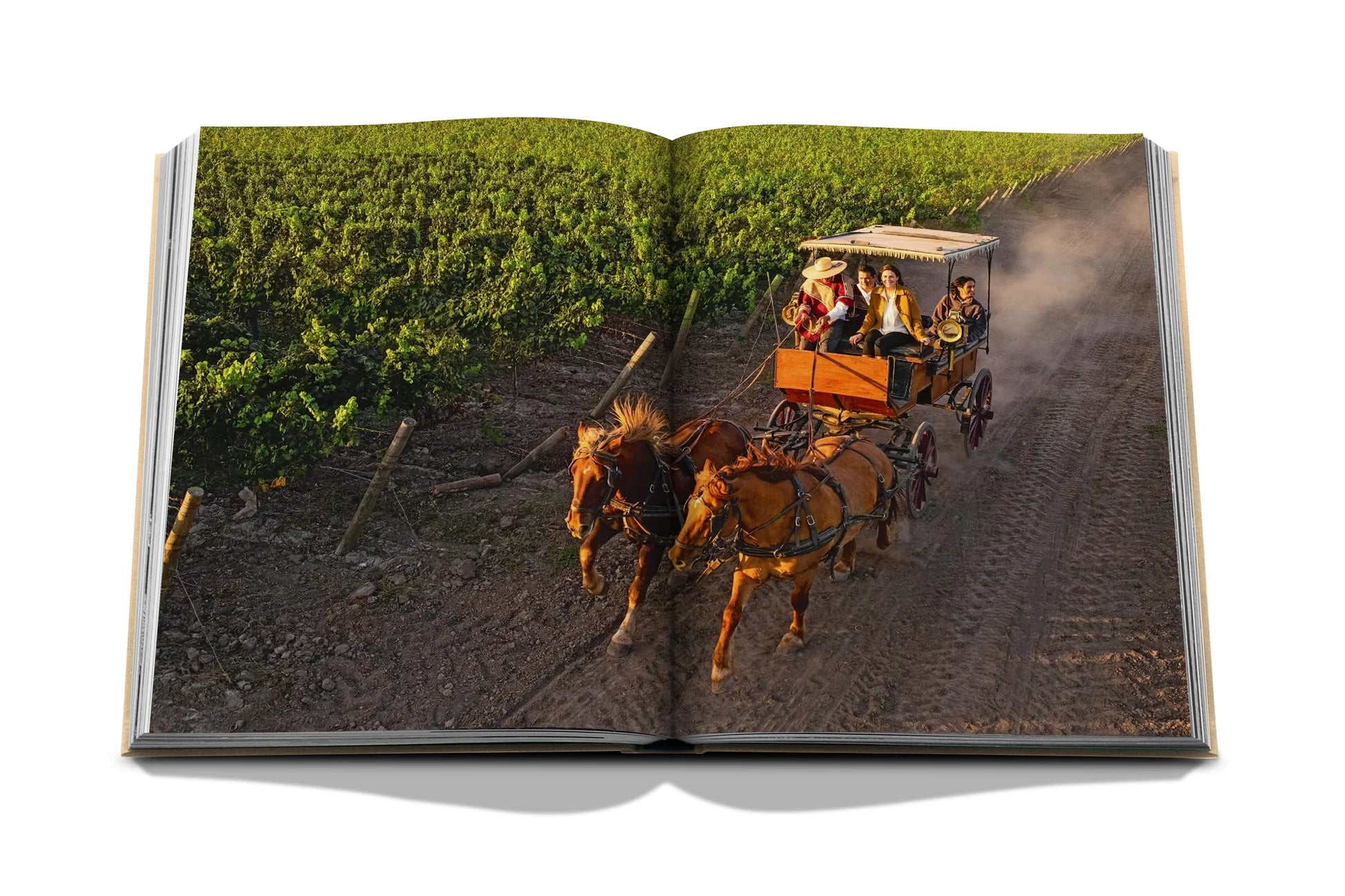 Livro Wine & Travel Latin America
