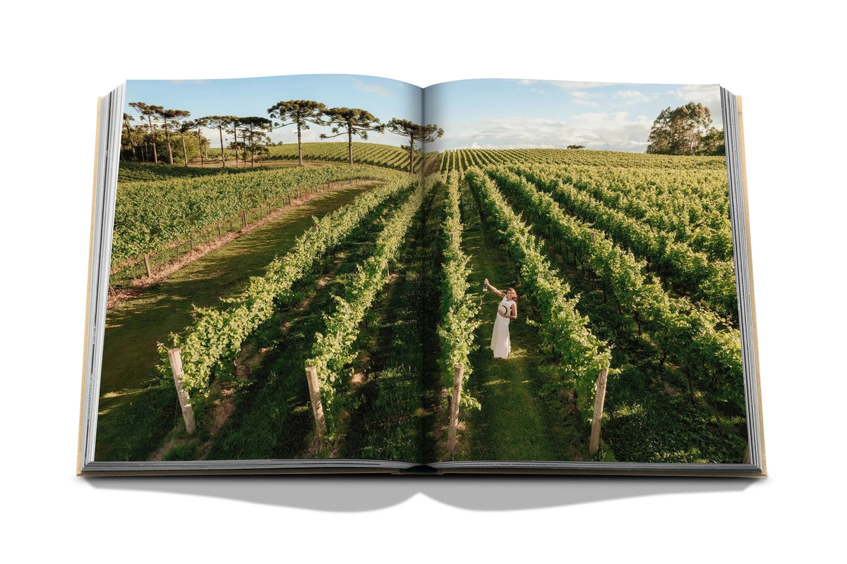 Livro Wine & Travel Latin America