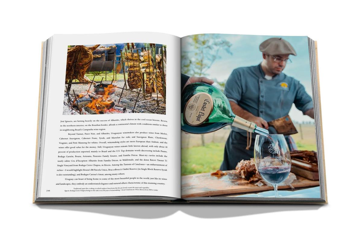 Livro Wine & Travel Latin America