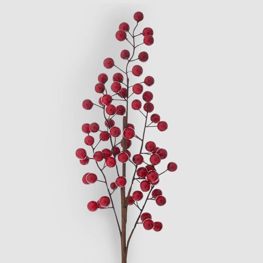 Ilex 60cm