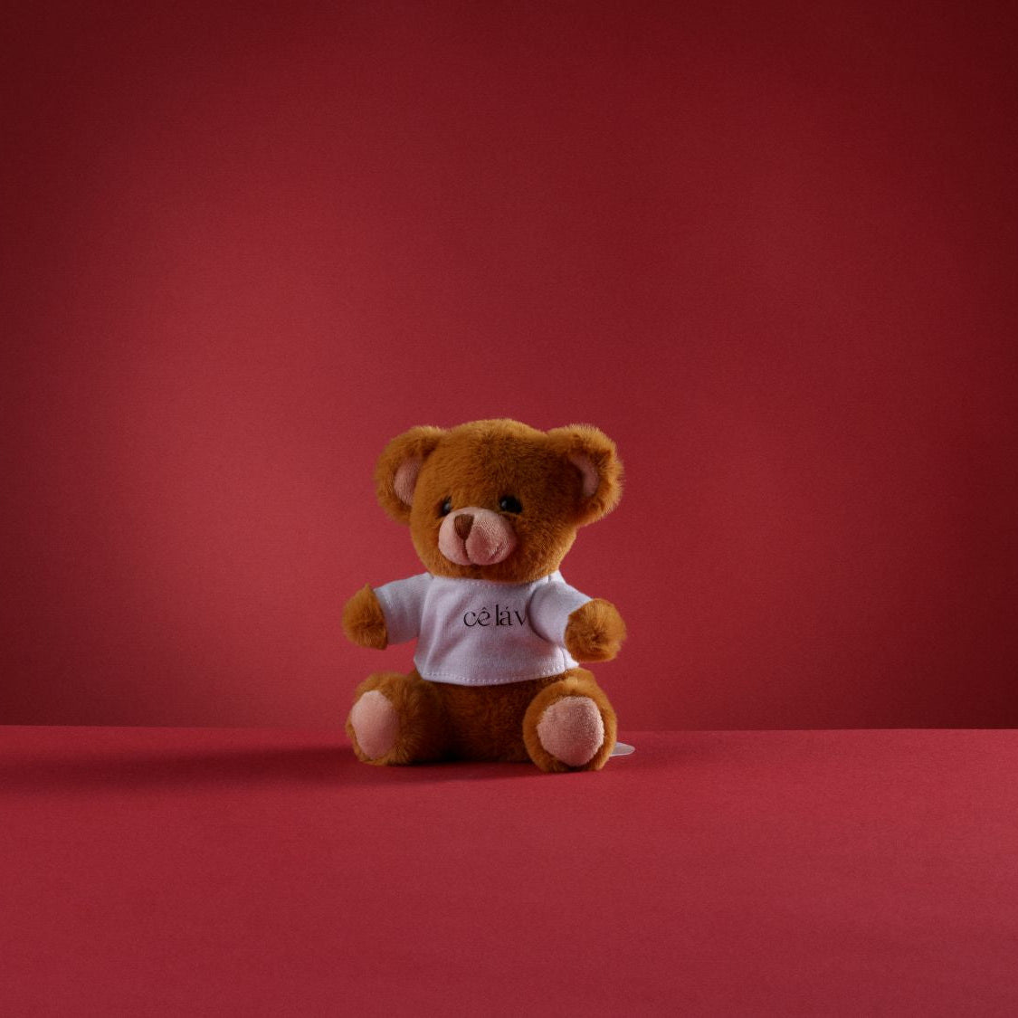 Teddy Bear Cê Lá Vi 14cm