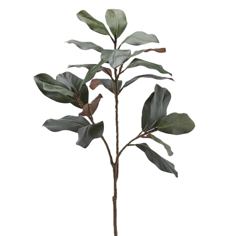 Ramo Magnolia 110cm