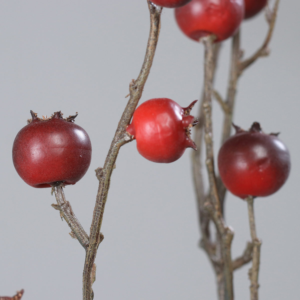 Ramo roseira brava 84cm