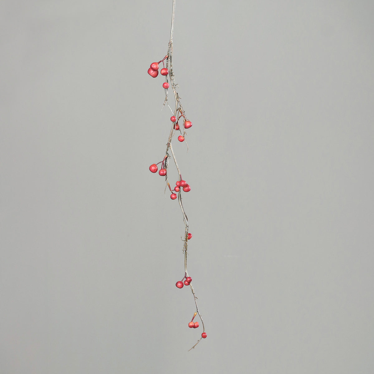 Ramo Roseira brava 86cm