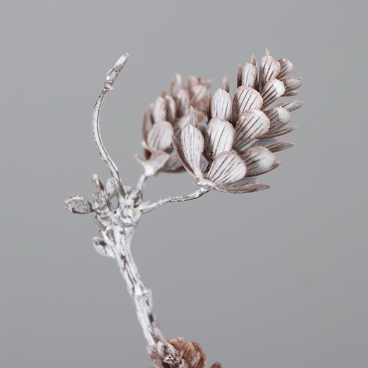 Ramo pinha 54cm