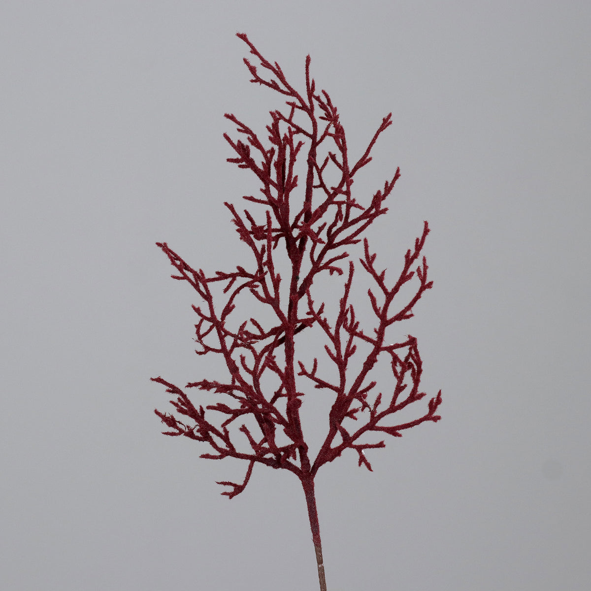 Ramo Coral 50cm