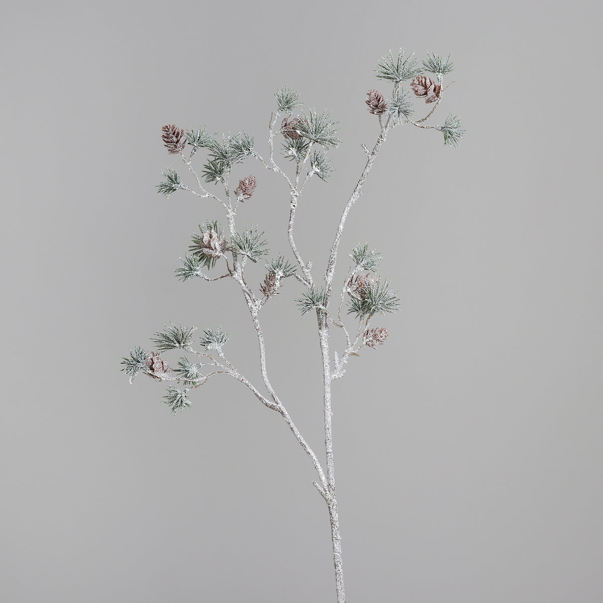 Ramo larix Pinhas 63cm