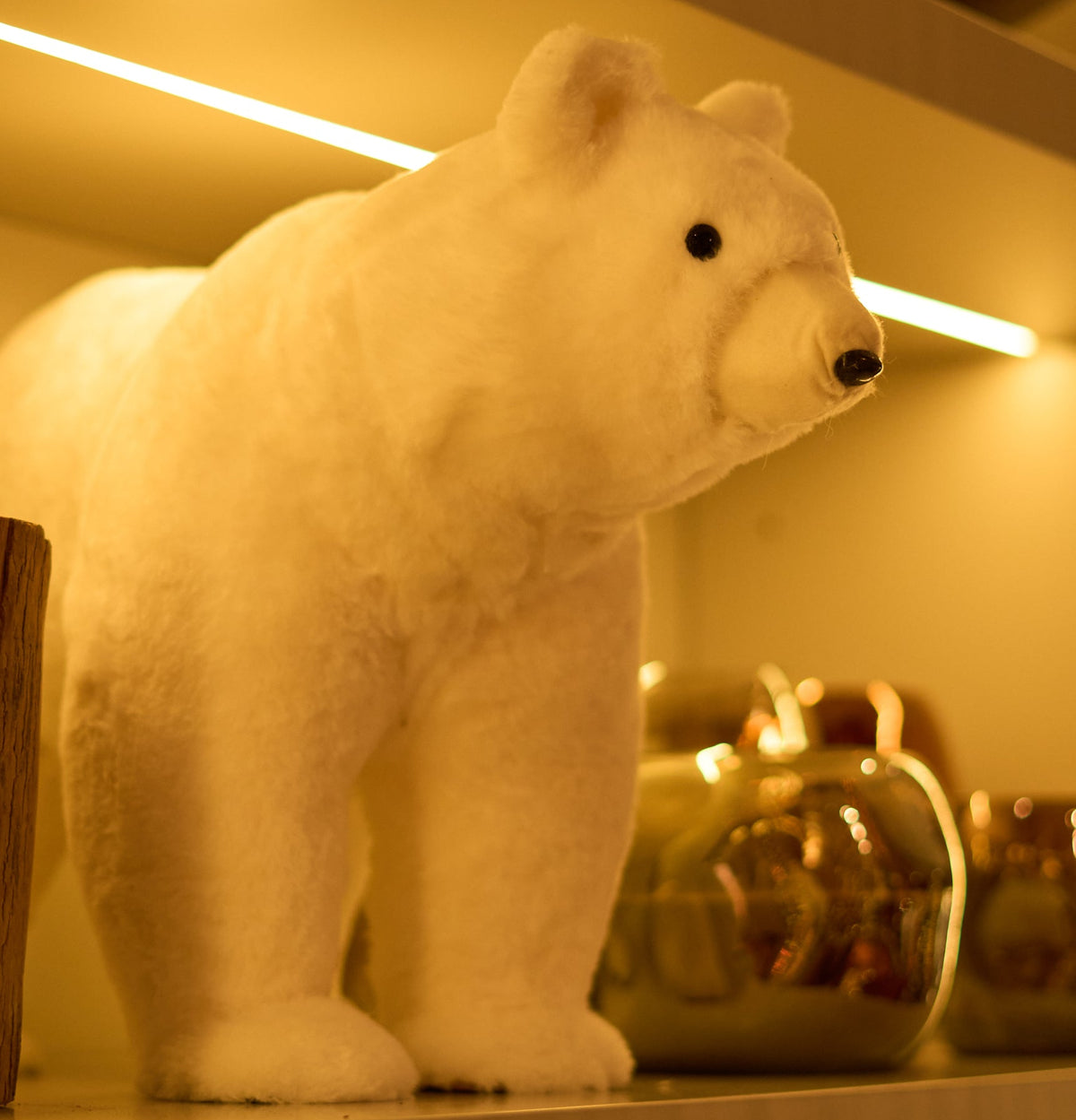 Urso Polar Grande