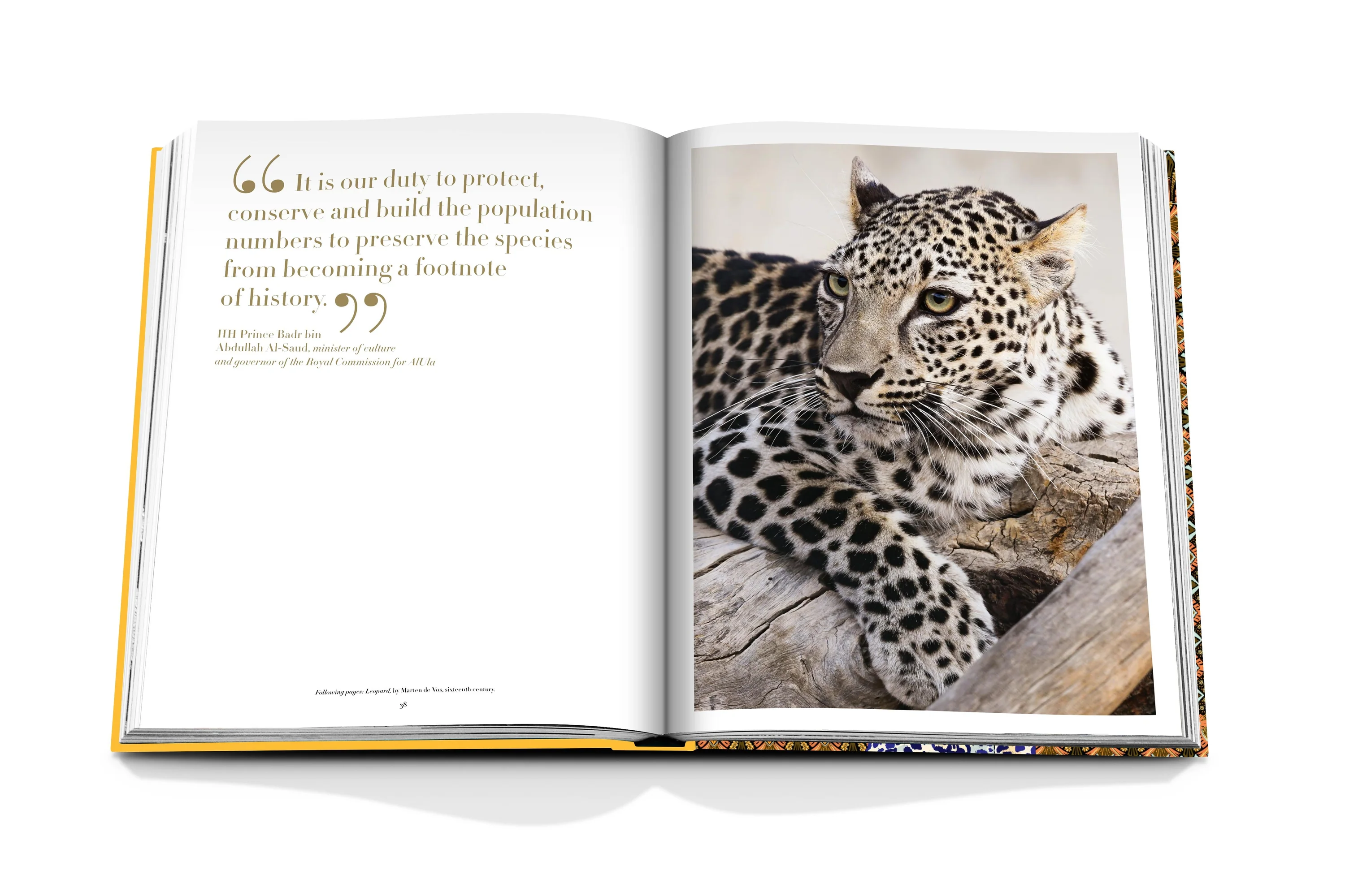 Livro Arrabian Leopard - Classic