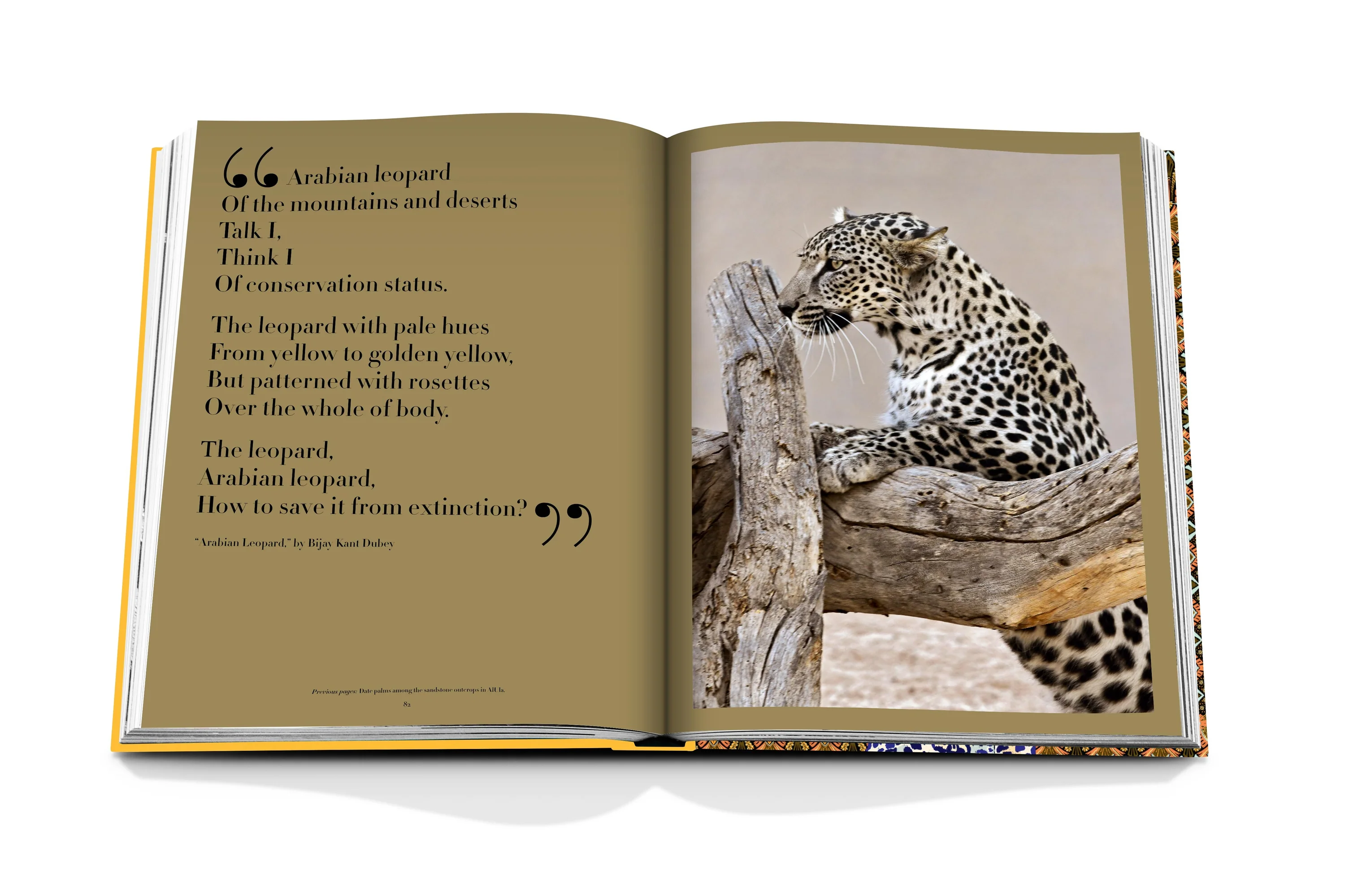 Livro Arrabian Leopard - Classic